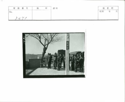 冬日树下人群远眺田野.jpg
