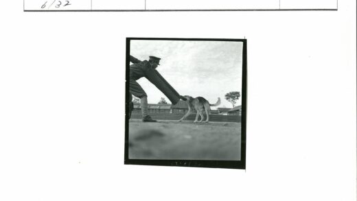 制服男子户外训犬照片.jpg