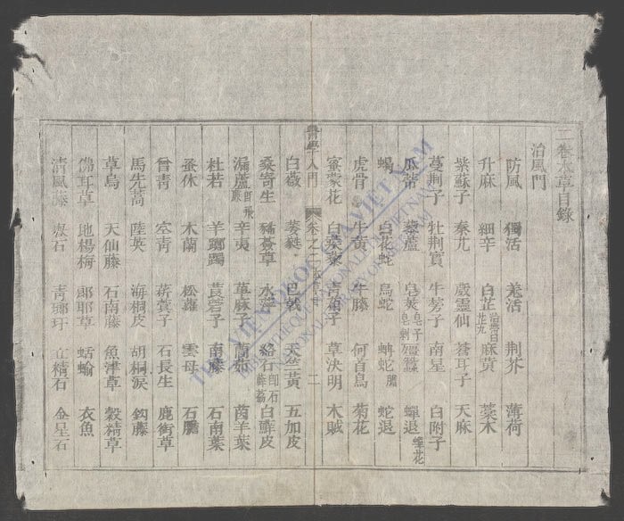医学入门(q.)-