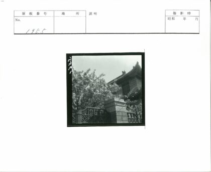 华丽屋顶传统建筑与盛开花树.jpg