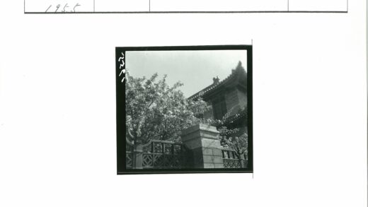 华丽屋顶传统建筑与盛开花树.jpg