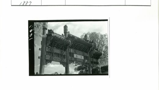 华丽雕刻木门与自然背景特写.jpg