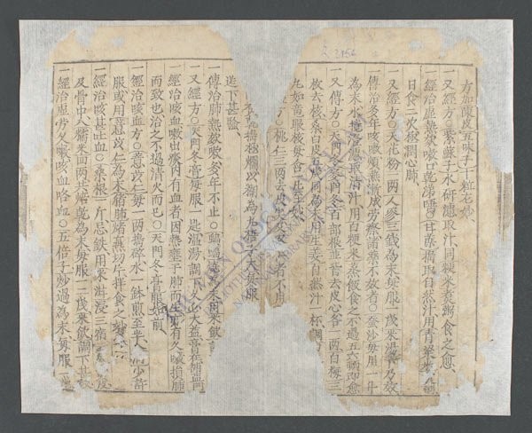 南药捷效(q.-)-