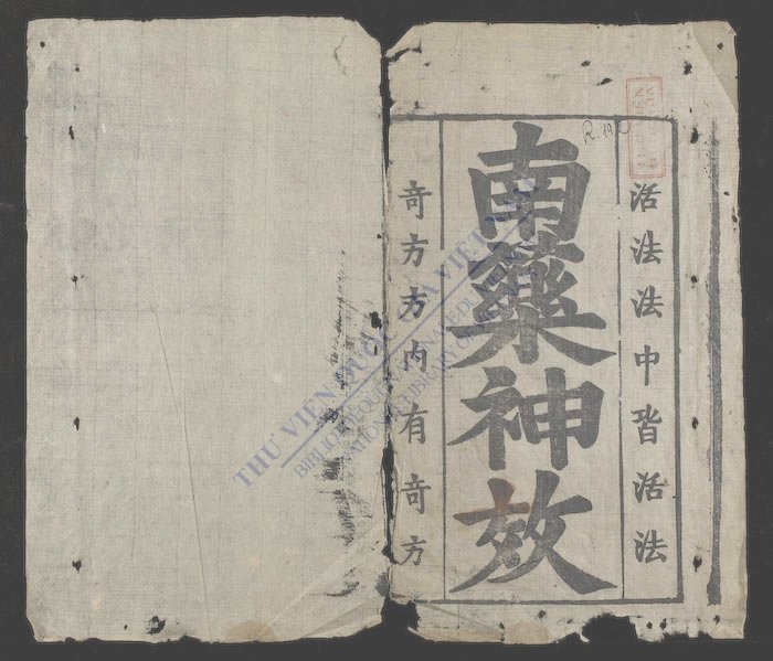 《南药神效》南藥神效PDF电子书