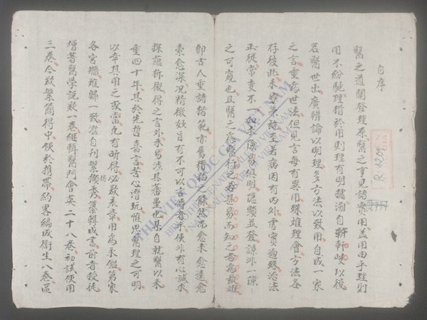 卫生要旨(q.)-
