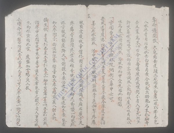 卫生要旨(q.)-