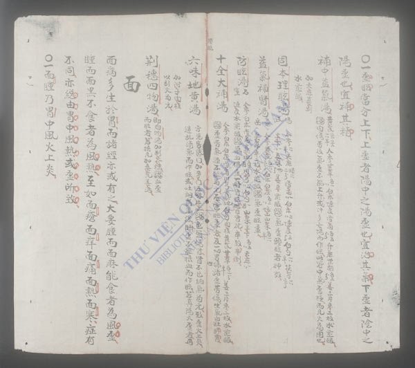 卫生要旨(q.)-