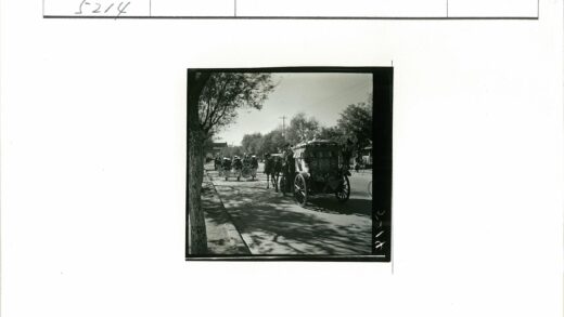 历史街景树木与马车.jpg