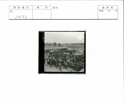 历史集会俯瞰森林景观.jpg