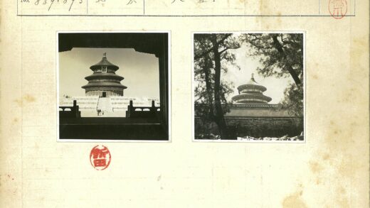 古塔砖墙与苍翠树枝.jpg