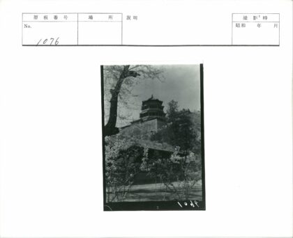 古塔绿荫掩映景观.jpg