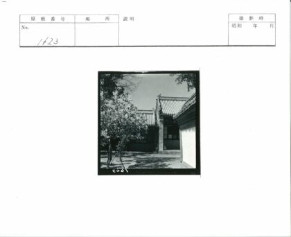 古建筑与盛开花树.jpg