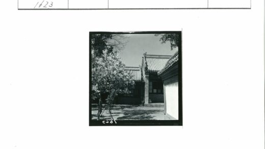 古建筑与盛开花树.jpg