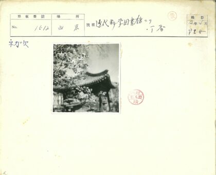 古建筑绿意盎然特写.jpg