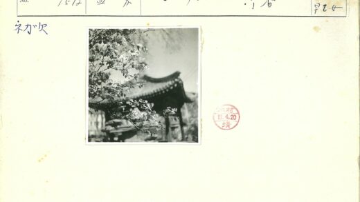 古建筑绿意盎然特写.jpg