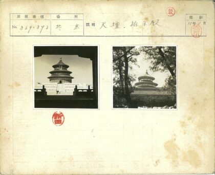 古树掩映下的传统石墙建筑.jpg