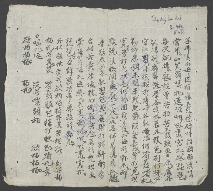 各排喝爪母-