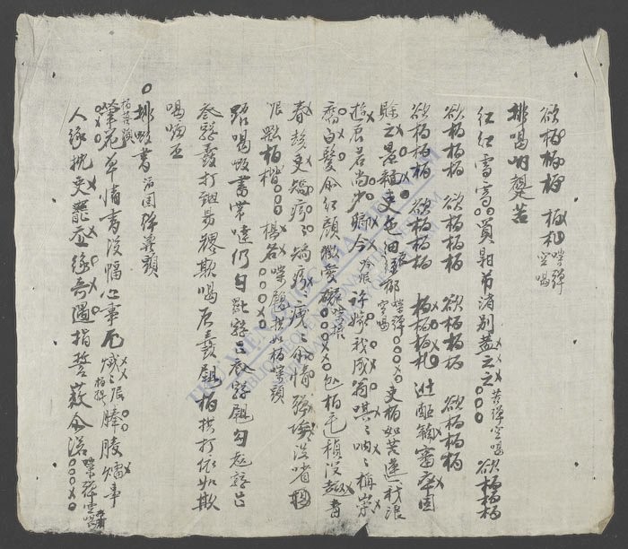 各排喝爪母-
