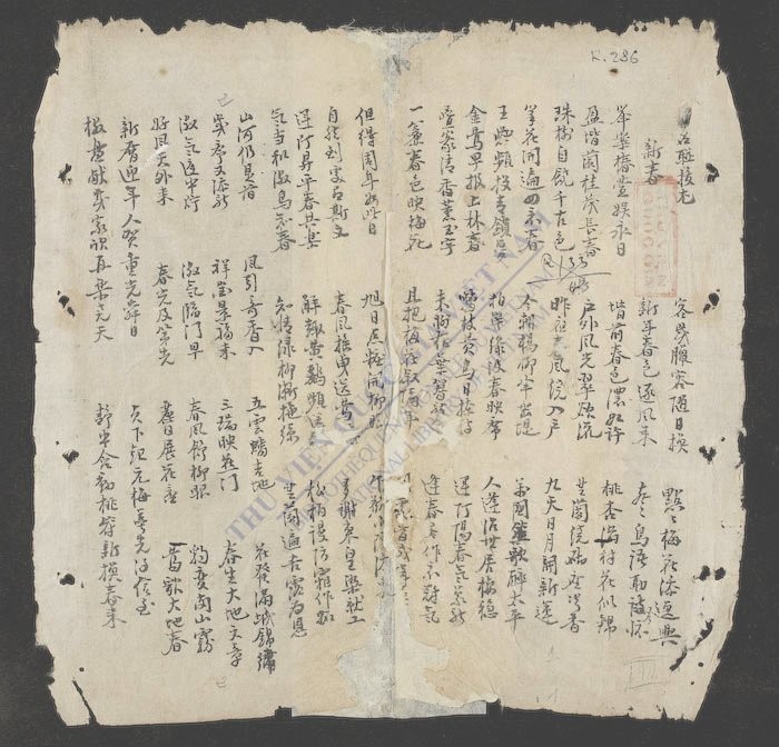 名联拔尤-