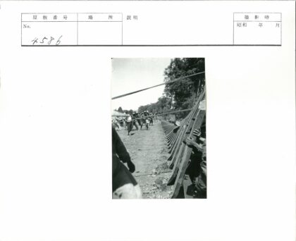 团队协作搭建森林木结构.jpg