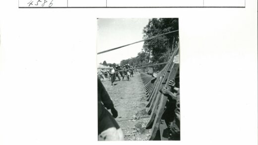 团队协作搭建森林木结构.jpg