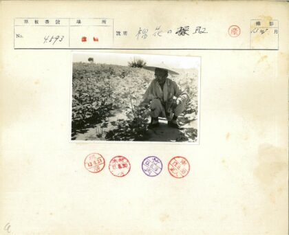 园艺爱好者田野观察.jpg