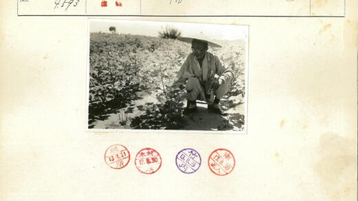 园艺爱好者田野观察.jpg