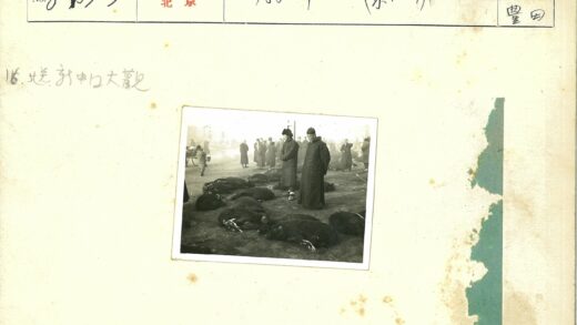 围观牲畜与购物车路人.jpg