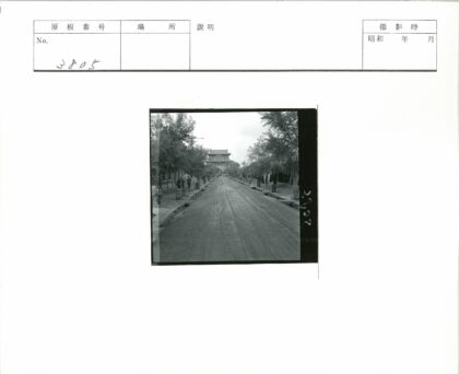 土路林荫道与传统建筑街景.jpg