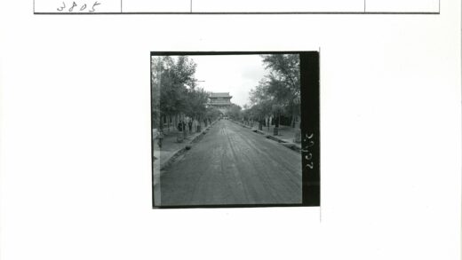 土路林荫道与传统建筑街景.jpg