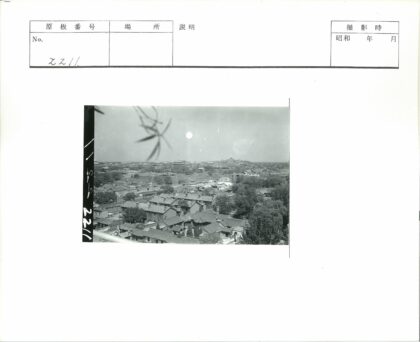 城市建筑间的自然绿意.jpg