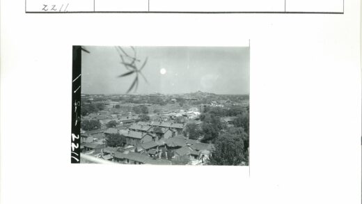 城市建筑间的自然绿意.jpg