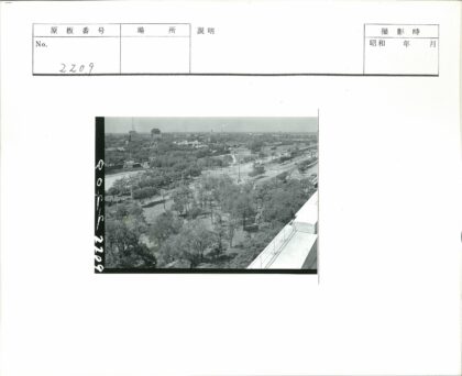 城市绿荫鸟瞰景观.jpg