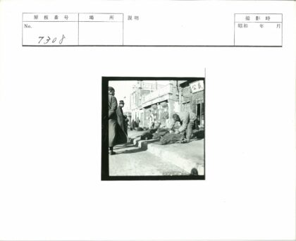 城市街道动物尸体处理.jpg