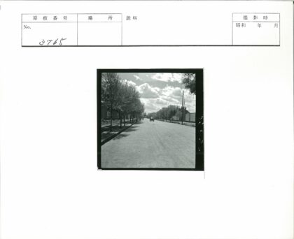 城市街道车辆行人风景照.jpg