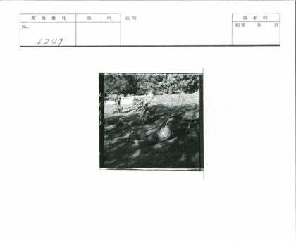 士兵训练野外战术演练.jpg