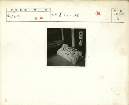 复古卧室绣花枕头肖像装饰.jpg