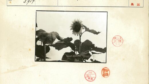 复古向日葵叶手稿邮票.jpg