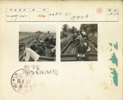 复古敞篷火车穿越绿林.jpg