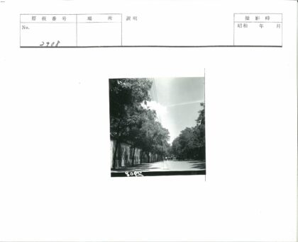 复古街景人与车行道树电线.jpg