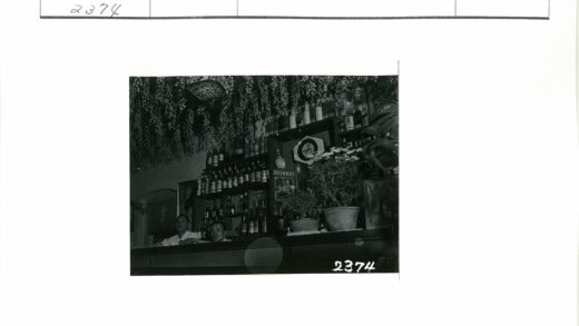 复古酒吧植物装饰与波尔图梅内雷斯.jpg