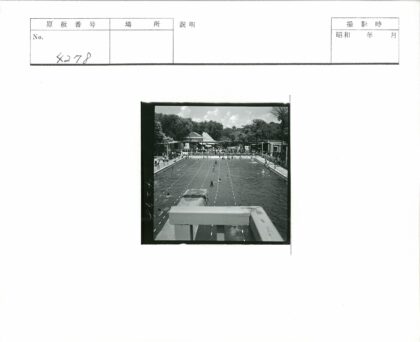 夏日公共泳池人群与森林景观.jpg