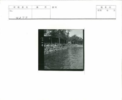 夏日泳池人群聚集.jpg
