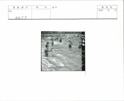 夏日泳池休闲时光.jpg