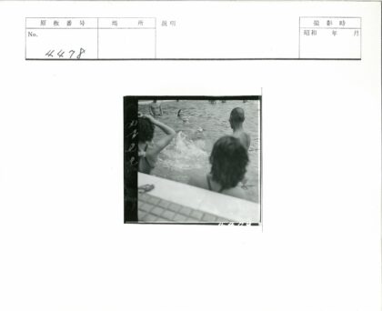 夏日泳池欢乐时光.jpg