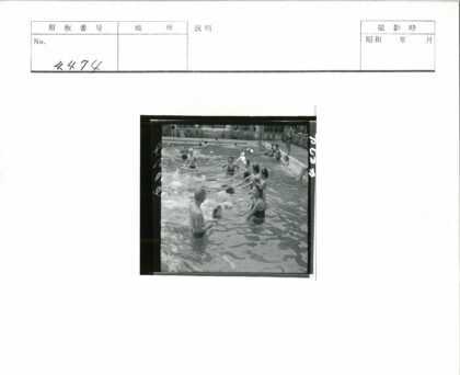 夏日泳池欢乐时光.jpg