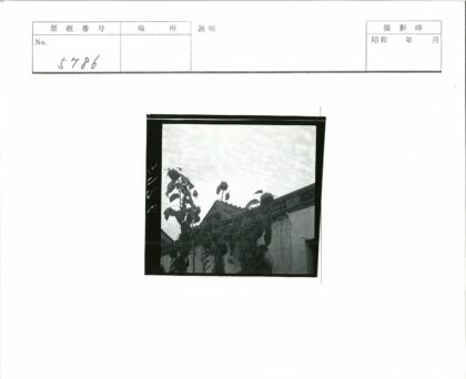 多云天空下向日葵与老建筑.jpg