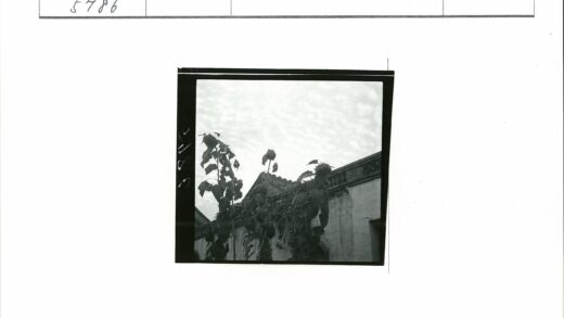 多云天空下向日葵与老建筑.jpg