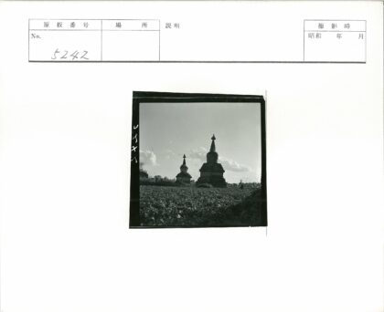 多云天空下的石塔与绿植.jpg