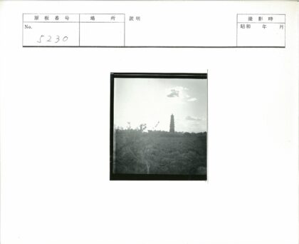 多云天空下高大宝塔与灌木空地.jpg